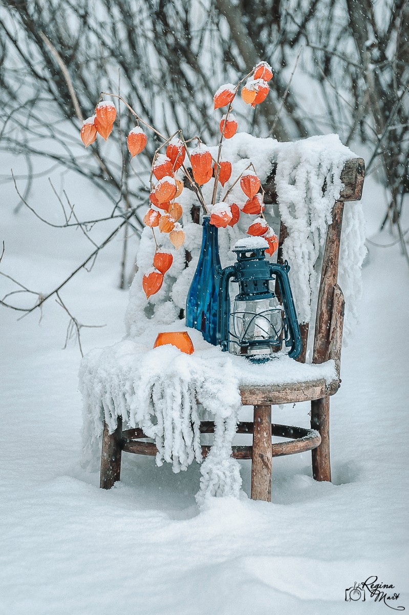 Winter picnic (Birthday party)