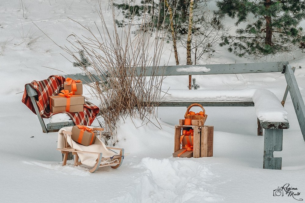 Winter picnic (Birthday party)