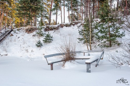 Winter picnic (Birthday party)