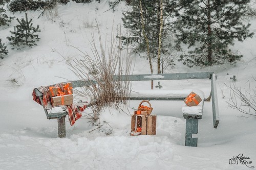Winter picnic (Birthday party)