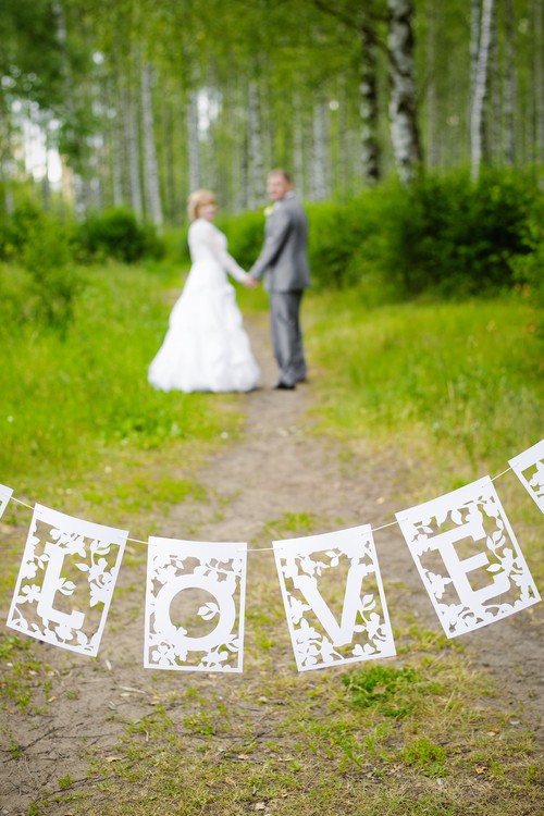 Picnic Wedding