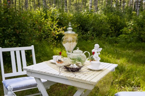 Picnic Wedding