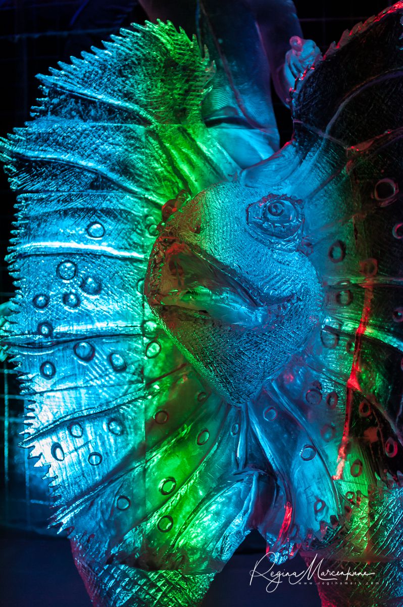20th International Ice sculpture festival in Jelgava / XX международный фестиваль ледяных скульптур в Елгаве