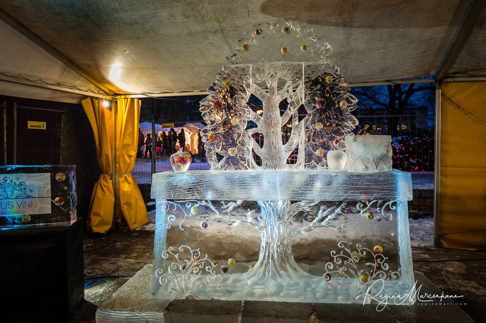 20th International Ice sculpture festival in Jelgava / XX международный фестиваль ледяных скульптур в Елгаве