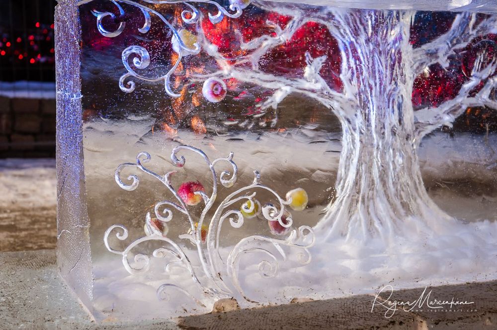 20th International Ice sculpture festival in Jelgava / XX международный фестиваль ледяных скульптур в Елгаве
