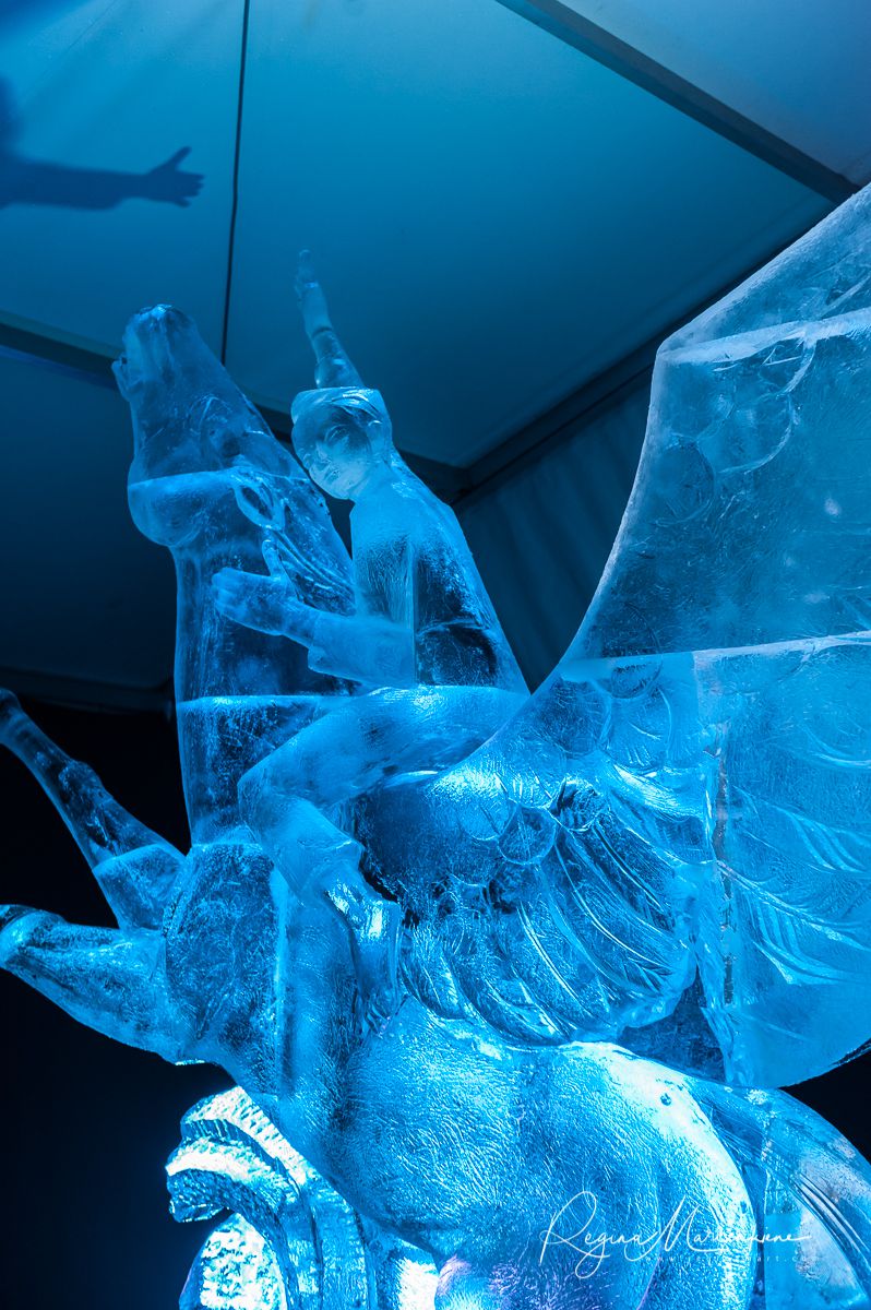 20th International Ice sculpture festival in Jelgava / XX международный фестиваль ледяных скульптур в Елгаве