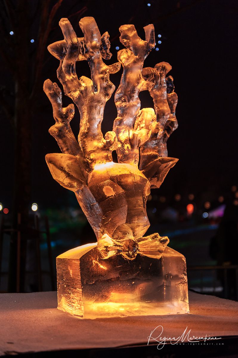 20th International Ice sculpture festival in Jelgava / XX международный фестиваль ледяных скульптур в Елгаве