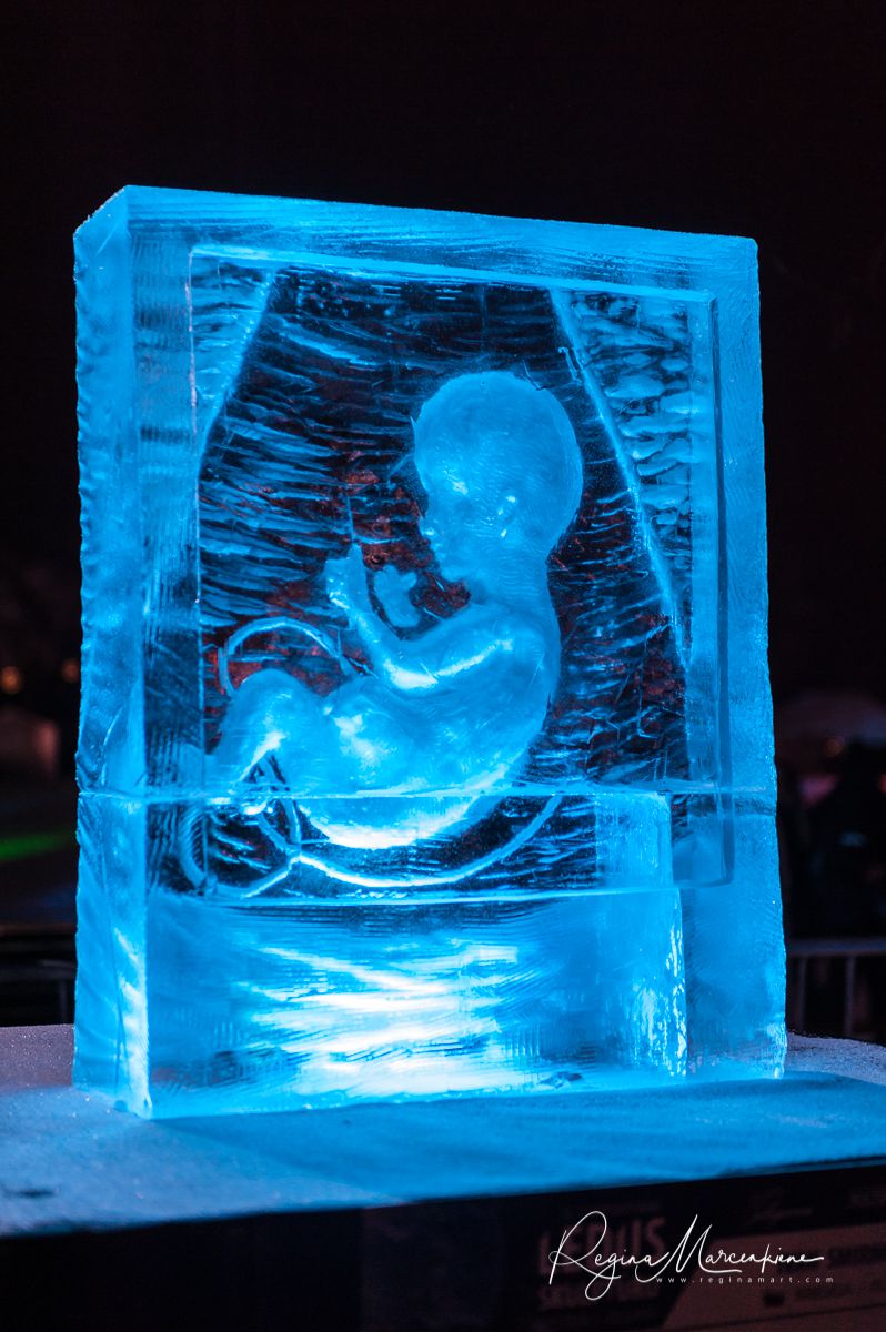 20th International Ice sculpture festival in Jelgava / XX международный фестиваль ледяных скульптур в Елгаве