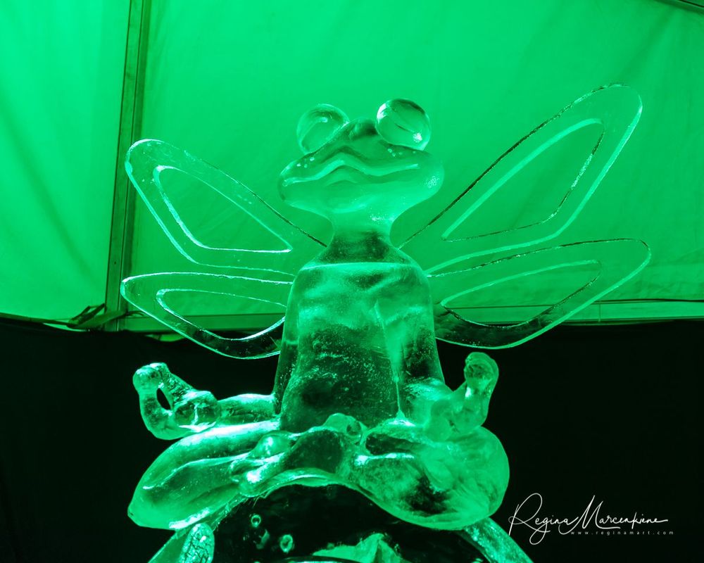20th International Ice sculpture festival in Jelgava / XX международный фестиваль ледяных скульптур в Елгаве