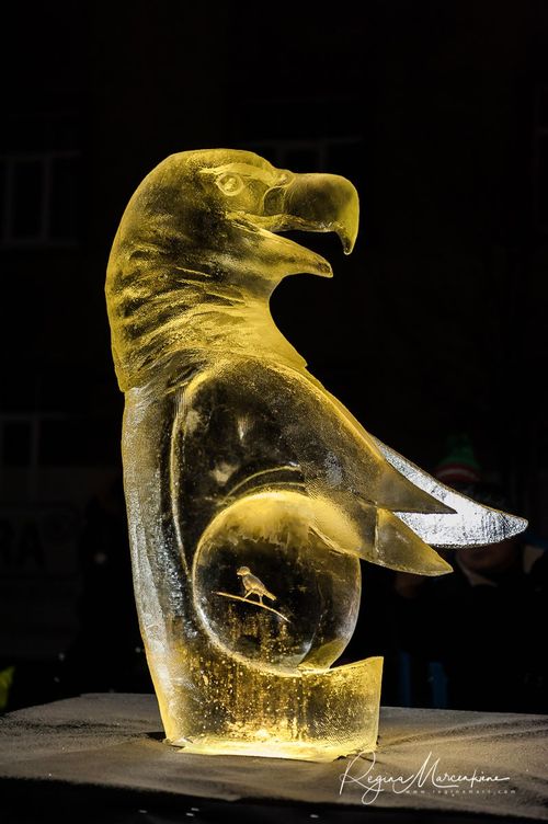 20th International Ice sculpture festival in Jelgava / XX международный фестиваль ледяных скульптур в Елгаве