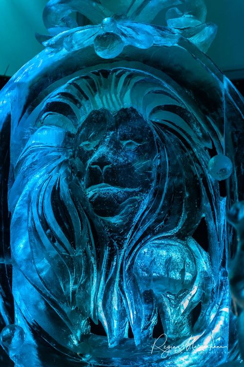 20th International Ice sculpture festival in Jelgava / XX международный фестиваль ледяных скульптур в Елгаве