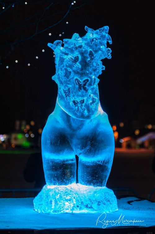 20th International Ice sculpture festival in Jelgava / XX международный фестиваль ледяных скульптур в Елгаве