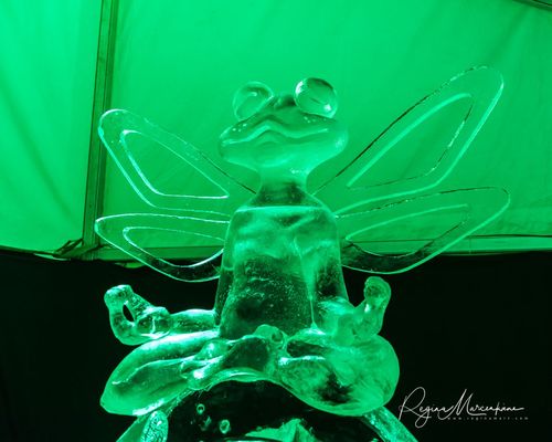 20th International Ice sculpture festival in Jelgava / XX международный фестиваль ледяных скульптур в Елгаве