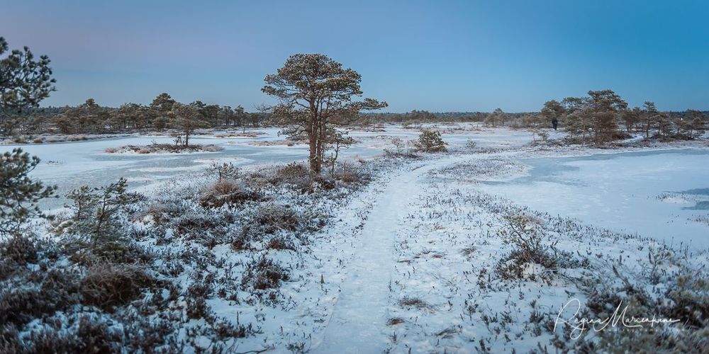 Учебная тропа Какердая (Kakerdaja loodusrada / nature trail ) 