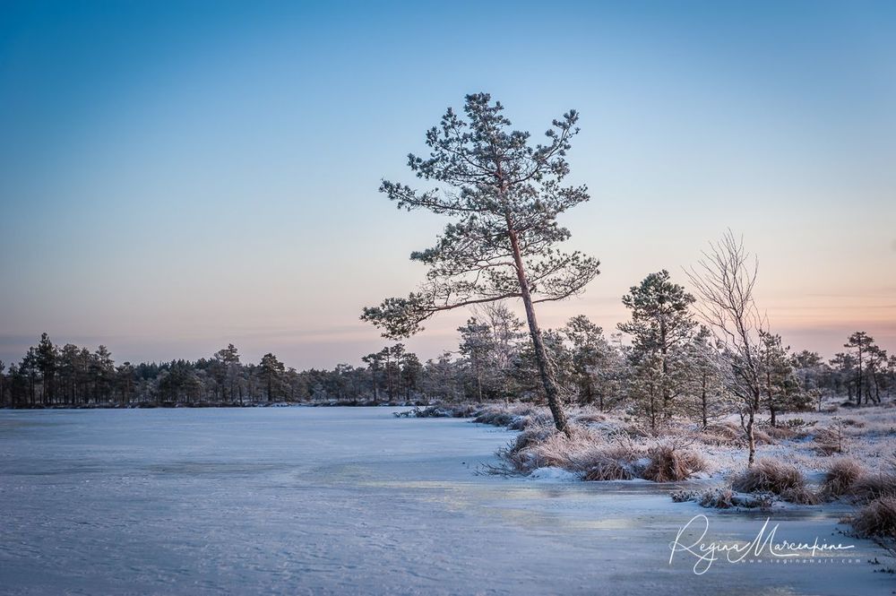 Учебная тропа Какердая (Kakerdaja loodusrada / nature trail ) 