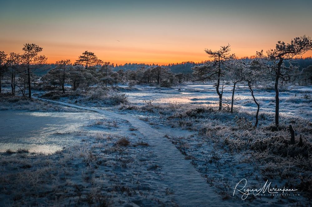 Учебная тропа Какердая (Kakerdaja loodusrada / nature trail ) 