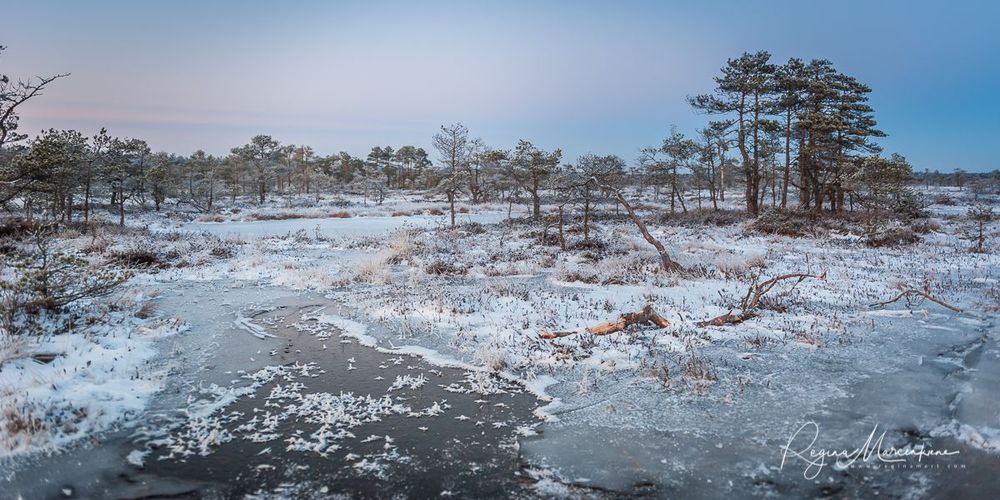 Учебная тропа Какердая (Kakerdaja loodusrada / nature trail ) 