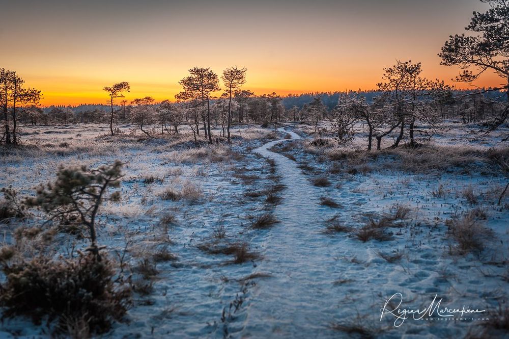 Учебная тропа Какердая (Kakerdaja loodusrada / nature trail ) 