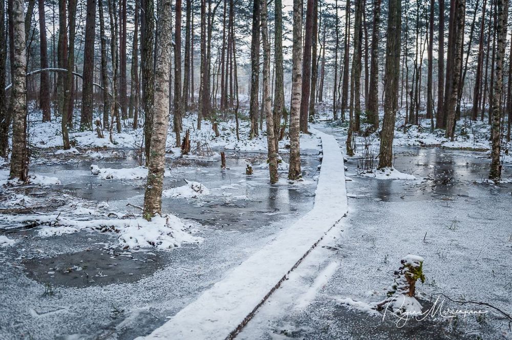 Учебная тропа Какердая (Kakerdaja loodusrada / nature trail ) 