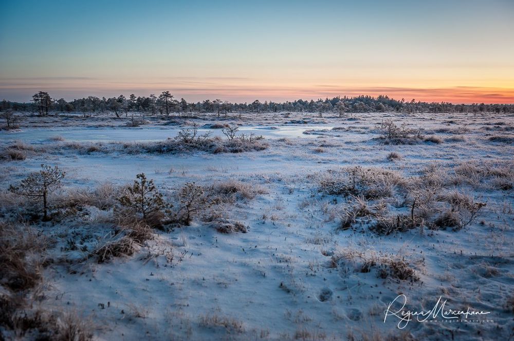 Учебная тропа Какердая (Kakerdaja loodusrada / nature trail ) 