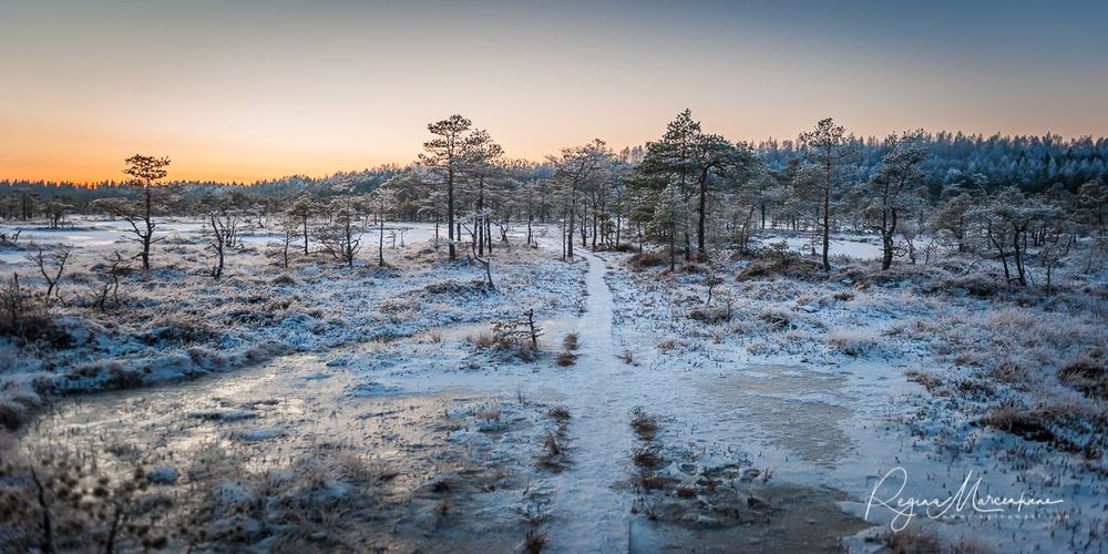 Учебная тропа Какердая (Kakerdaja loodusrada / nature trail ) 