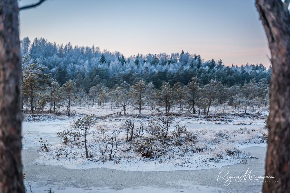 Учебная тропа Какердая (Kakerdaja loodusrada / nature trail ) 