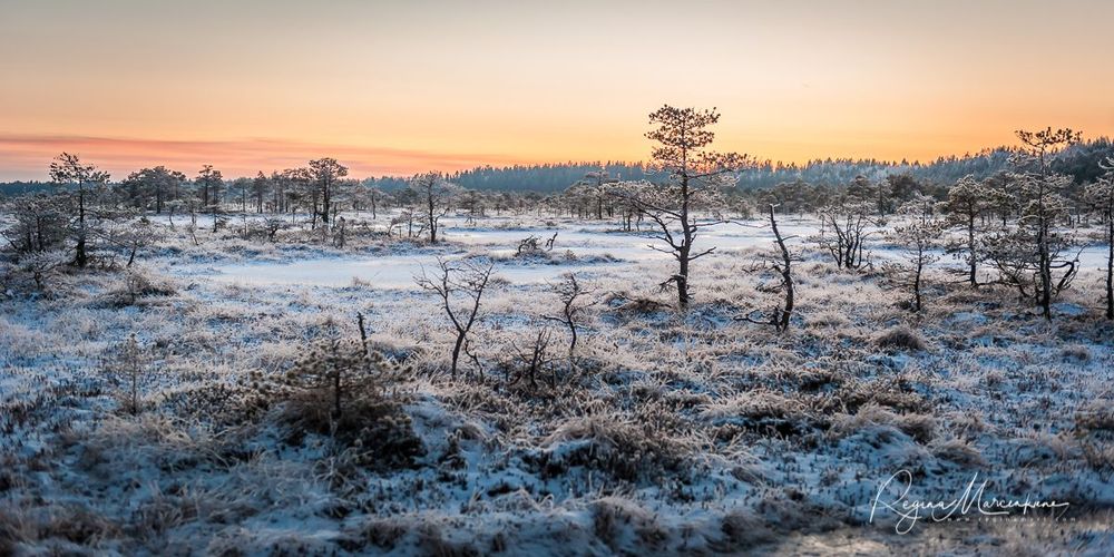 Учебная тропа Какердая (Kakerdaja loodusrada / nature trail ) 