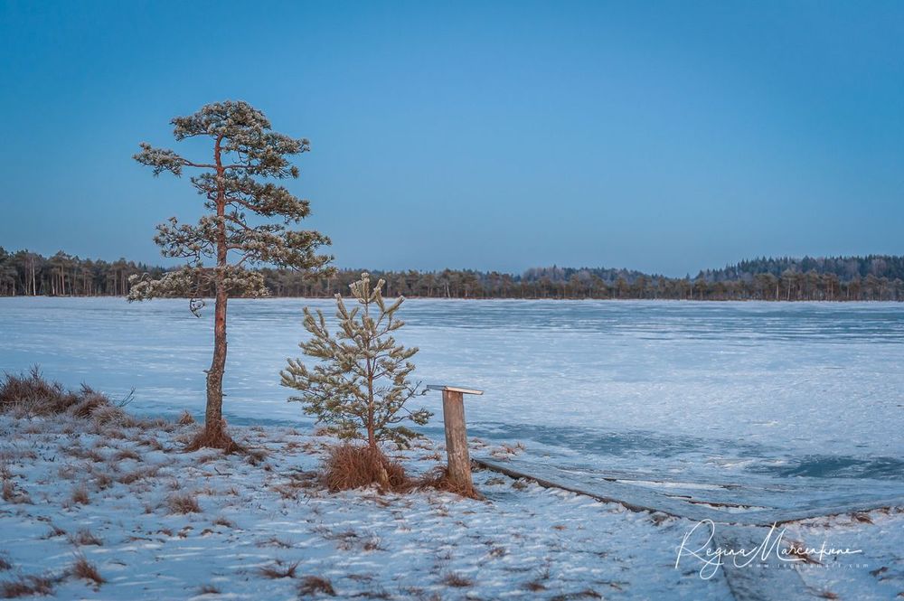 Учебная тропа Какердая (Kakerdaja loodusrada / nature trail ) 