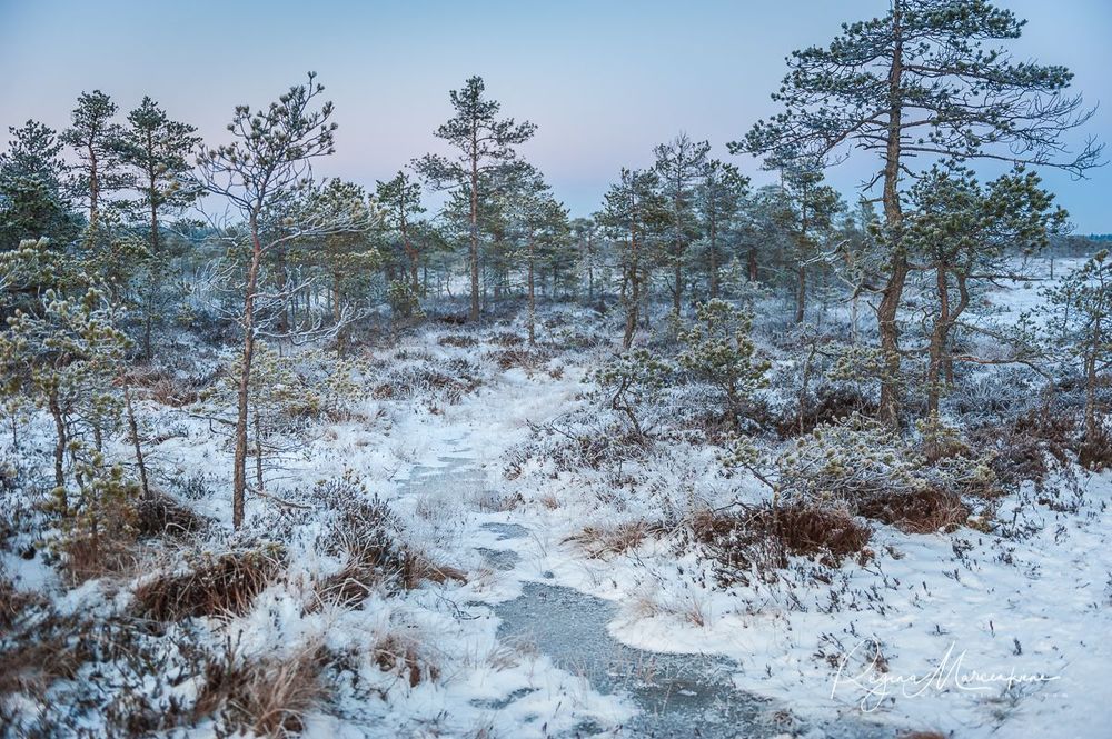Учебная тропа Какердая (Kakerdaja loodusrada / nature trail ) 