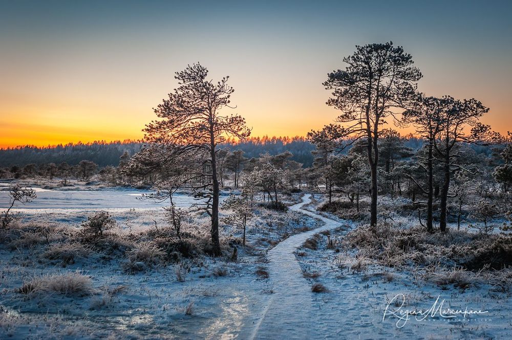 Учебная тропа Какердая (Kakerdaja loodusrada / nature trail ) 