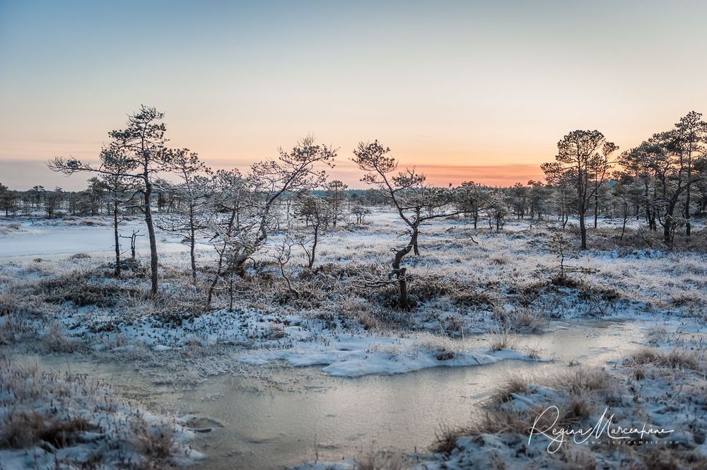 Учебная тропа Какердая (Kakerdaja loodusrada / nature trail ) 