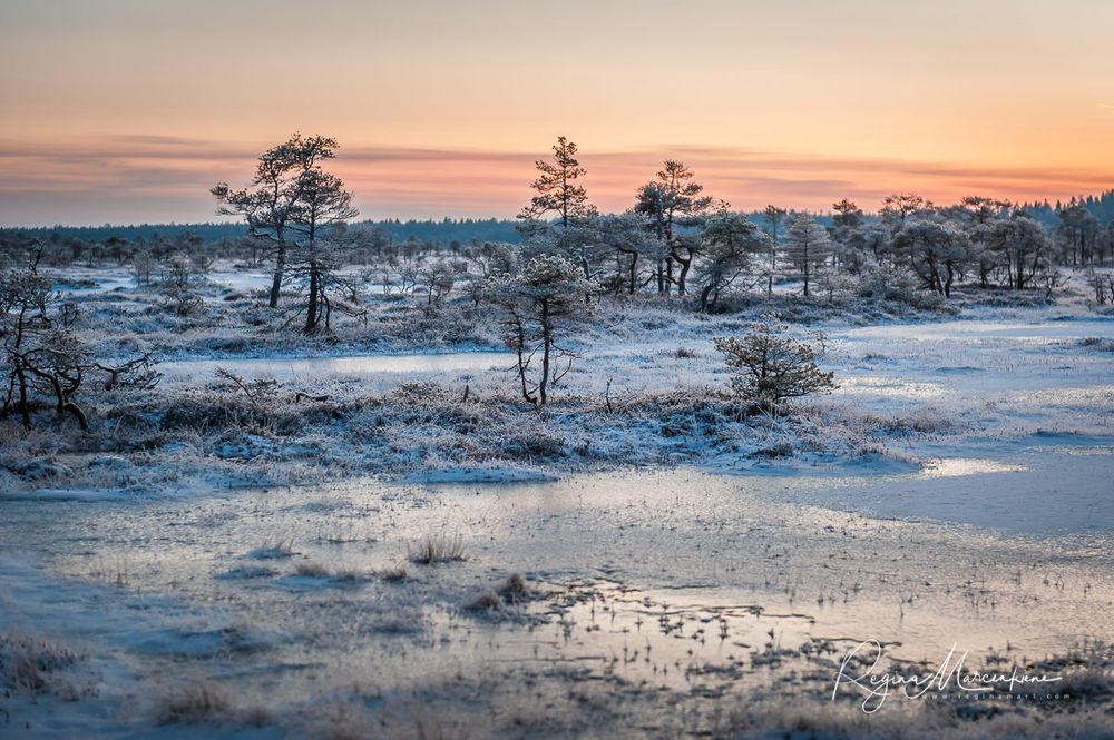 Учебная тропа Какердая (Kakerdaja loodusrada / nature trail ) 