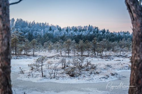 Учебная тропа Какердая (Kakerdaja loodusrada / nature trail ) 