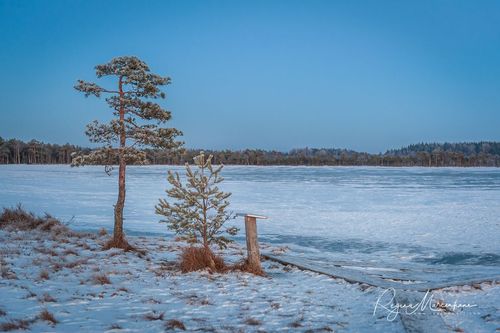Учебная тропа Какердая (Kakerdaja loodusrada / nature trail ) 