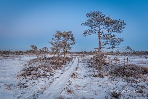 Учебная тропа Какердая (Kakerdaja loodusrada / nature trail ) 