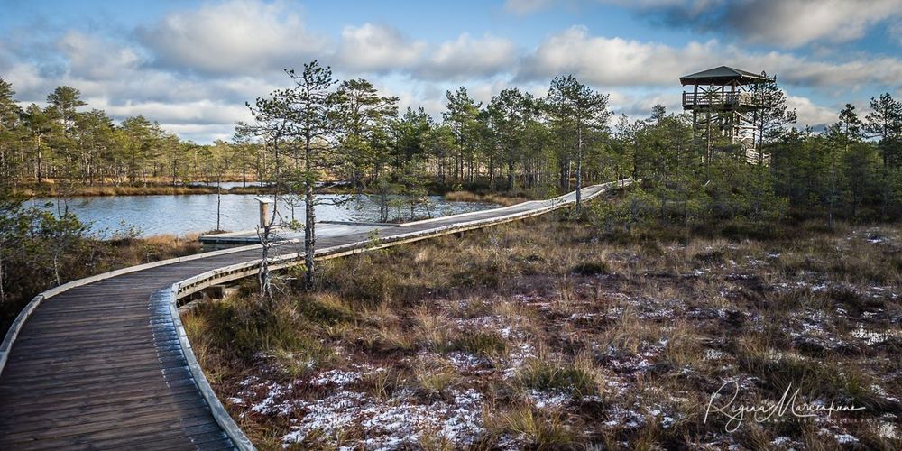Учебная тропа Вируского болота (Viru raba õpperada / Viru bog study trail)