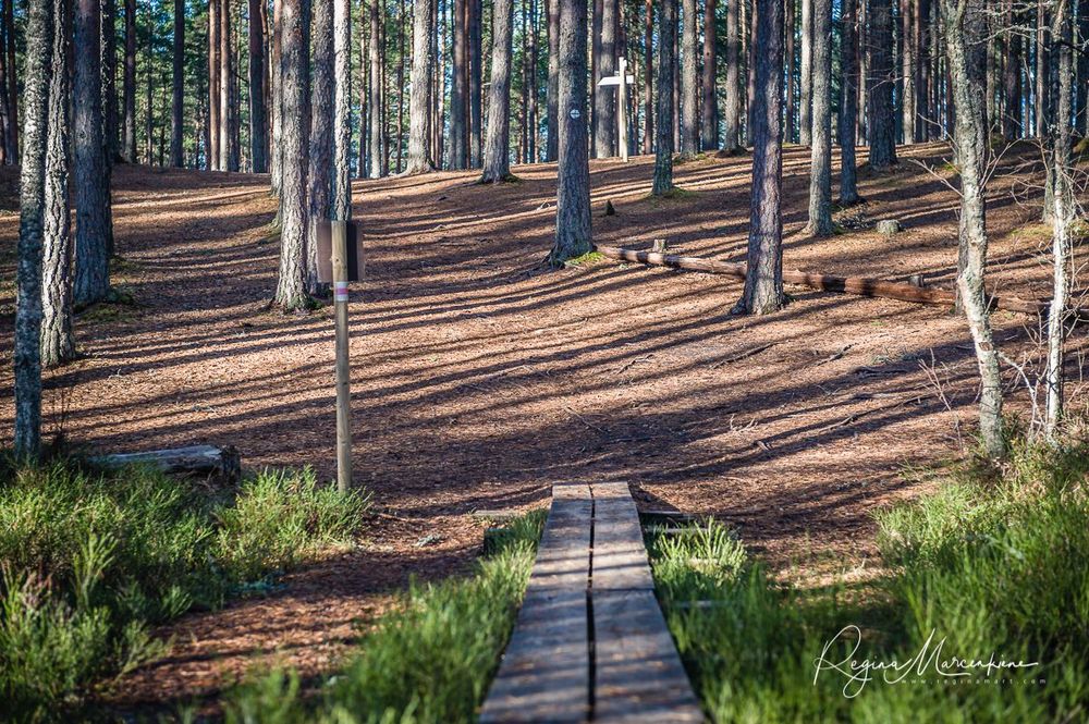 Учебная тропа Вируского болота (Viru raba õpperada / Viru bog study trail)