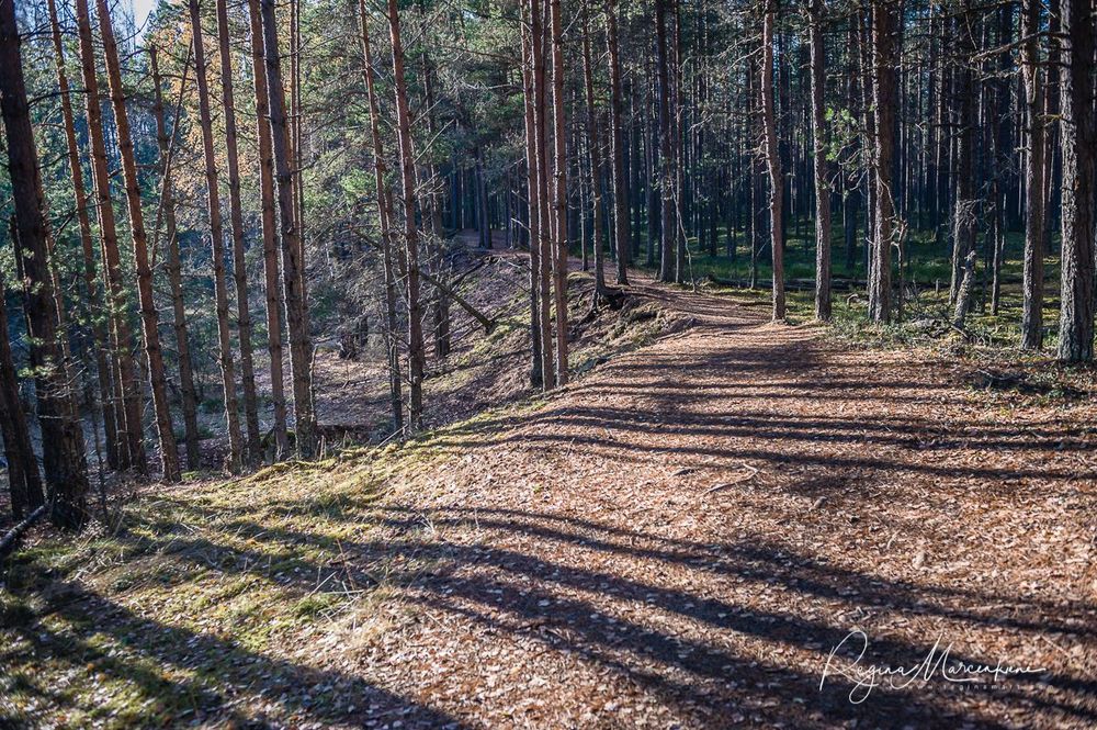 Учебная тропа Вируского болота (Viru raba õpperada / Viru bog study trail)