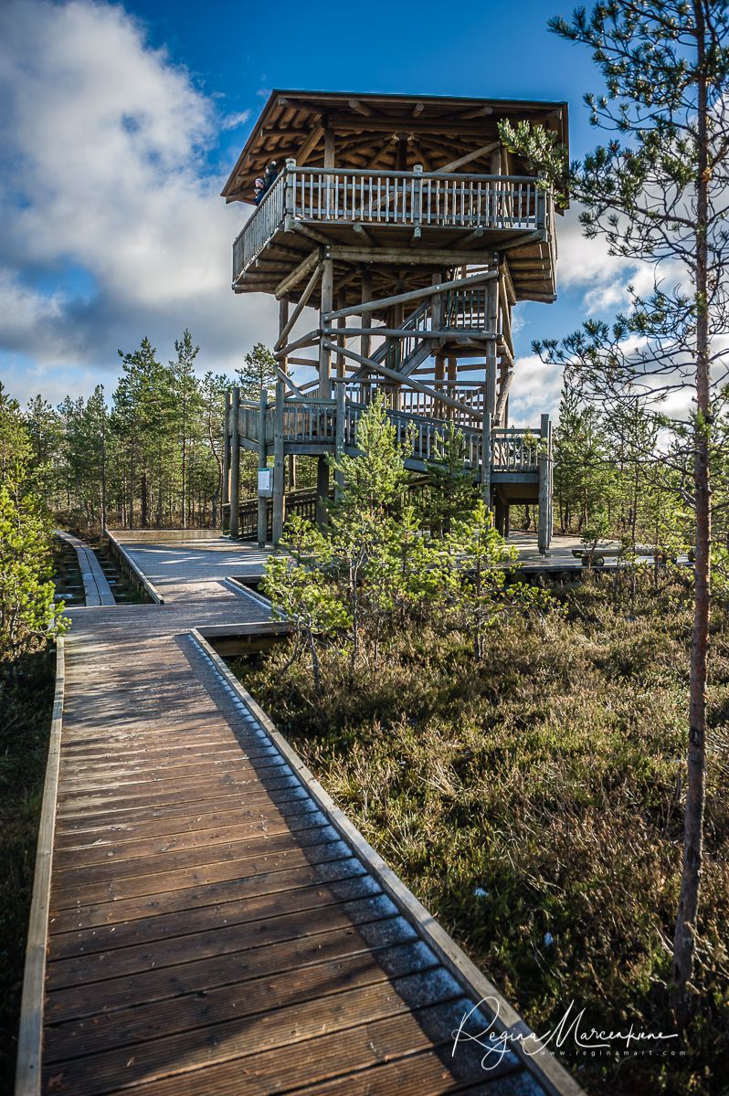 Учебная тропа Вируского болота (Viru raba õpperada / Viru bog study trail)