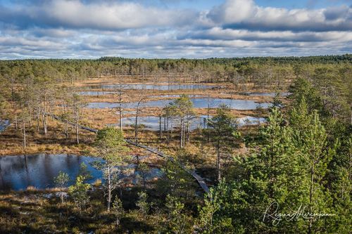 Учебная тропа Вируского болота (Viru raba õpperada / Viru bog study trail)