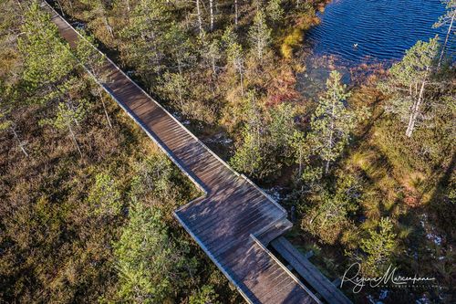 Учебная тропа Вируского болота (Viru raba õpperada / Viru bog study trail)