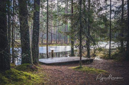Учебная тропа Вируского болота (Viru raba õpperada / Viru bog study trail)