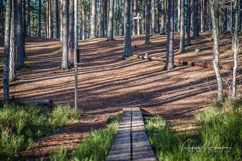 Учебная тропа Вируского болота (Viru raba õpperada / Viru bog study trail)