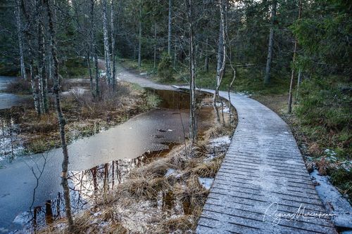 Учебная тропа Вируского болота (Viru raba õpperada / Viru bog study trail)