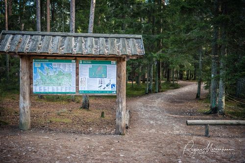 Учебная тропа Вируского болота (Viru raba õpperada / Viru bog study trail)