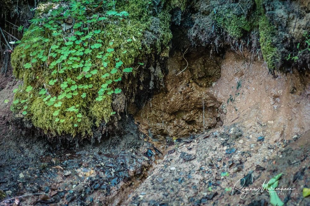  Инчукалнская Пещера (Inčukalna Velnala / Inčukalns Velnala Cave)