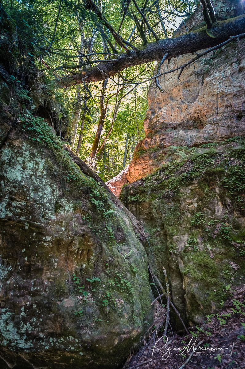  Инчукалнская Пещера (Inčukalna Velnala / Inčukalns Velnala Cave)