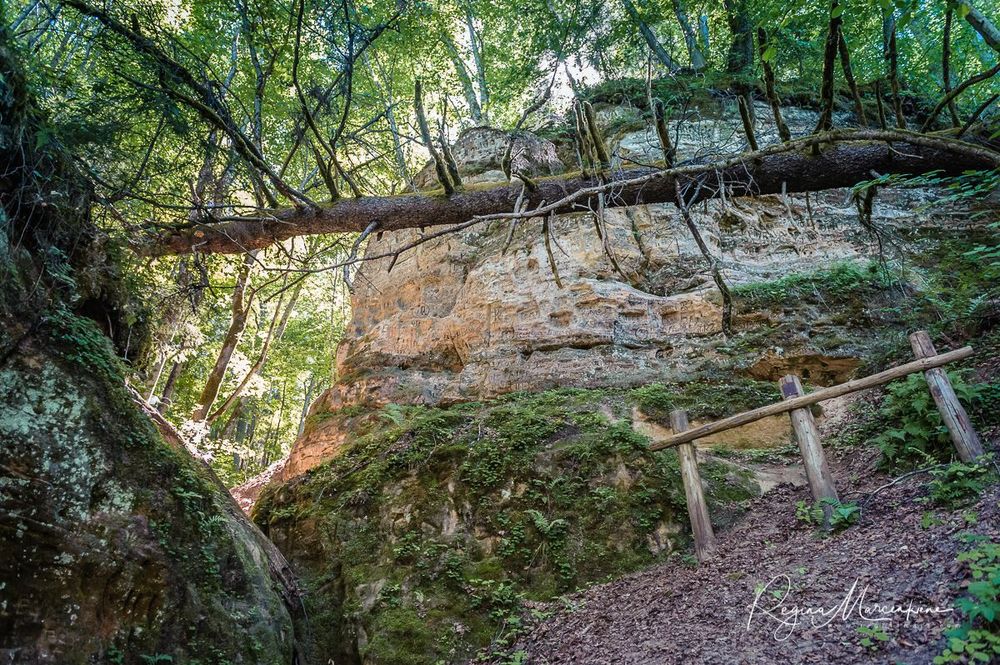  Инчукалнская Пещера (Inčukalna Velnala / Inčukalns Velnala Cave)