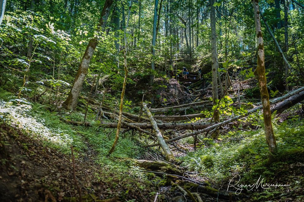 Инчукалнская Пещера (Inčukalna Velnala / Inčukalns Velnala Cave)