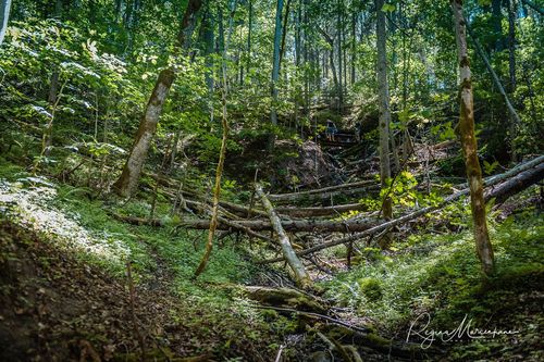  Инчукалнская Пещера (Inčukalna Velnala / Inčukalns Velnala Cave)
